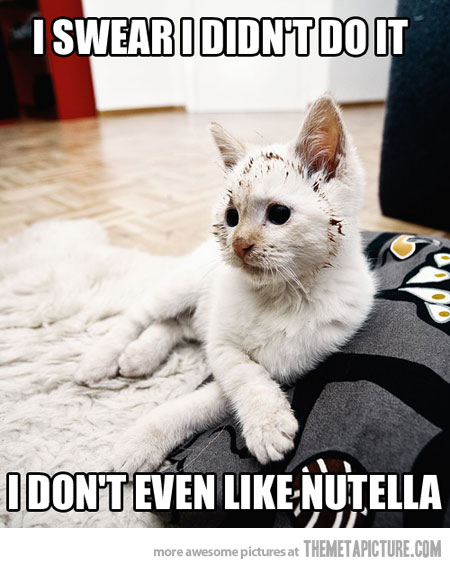 funny-cat-eating-Nutella